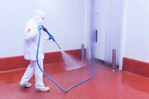 Best Winterizing Services  in Dallas, GA